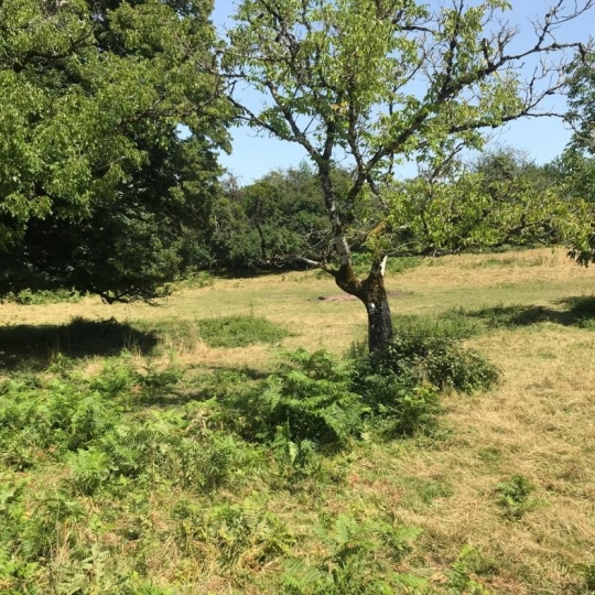  Annonces LUBERSAC : Autres | MEUZAC (87380) | 197 m2 | 49 600 € 