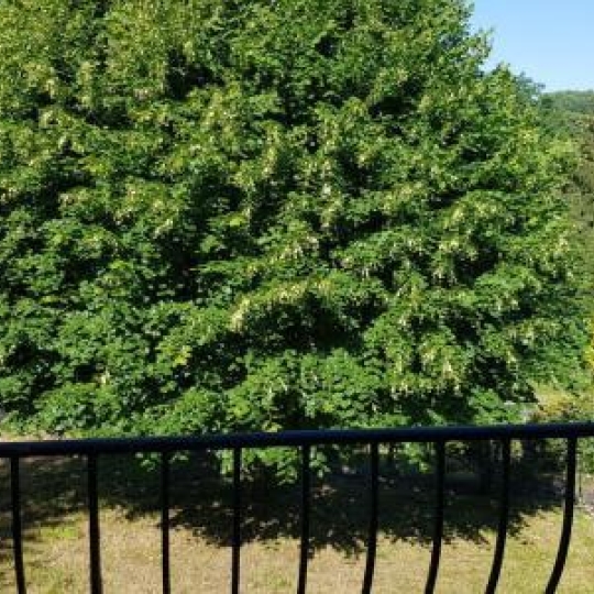  Annonces LUBERSAC : Maison / Villa | UZERCHE (19140) | 110 m2 | 139 000 € 