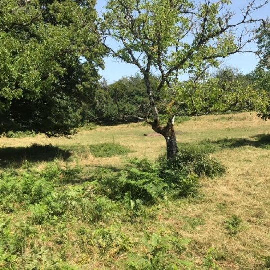  AGENCE IMMO COUR ET JARDIN : Autres | MEUZAC (87380) | 197 m2 | 39 720 € 