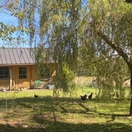  AGENCE IMMO COUR ET JARDIN : House | SAINT-GERMAIN-LES-BELLES (87380) | 97 m2 | 164 925 € 