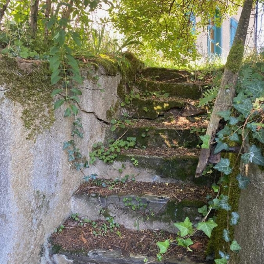  AGENCE IMMO COUR ET JARDIN : Autres | SAINT-GERMAIN-LES-BELLES (87380) | 250 m2 | 79 500 € 