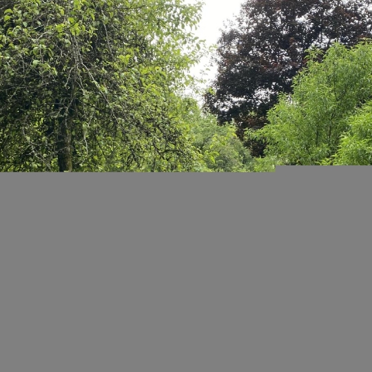  AGENCE IMMO COUR ET JARDIN : Maison / Villa | PIERRE-BUFFIERE (87260) | 165 m2 | 191 700 € 