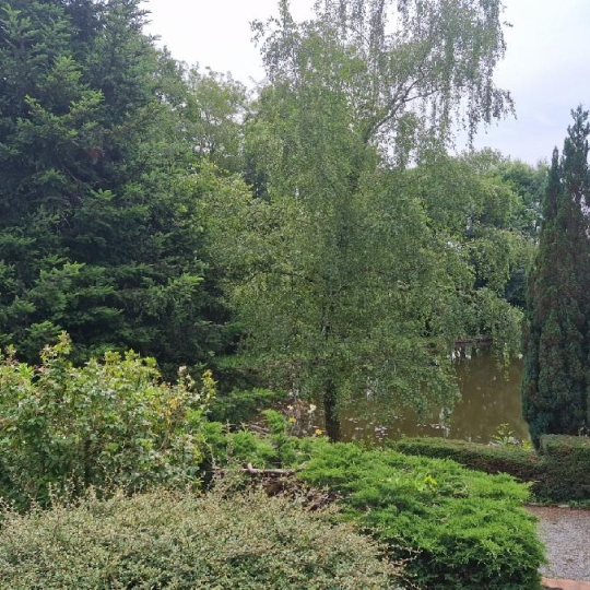  Annonces LUBERSAC : Maison / Villa | ARNAC-POMPADOUR (19230) | 140 m2 | 234 000 € 