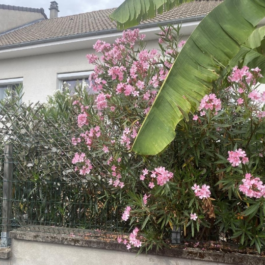  Annonces LUBERSAC : Maison / Villa | LIMOGES (87100) | 140 m2 | 233 700 € 