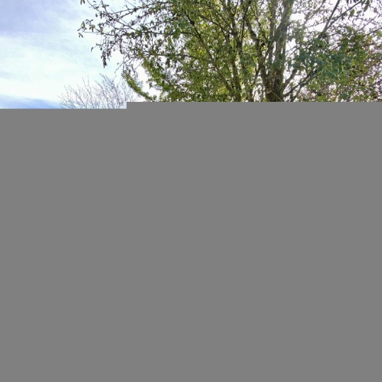  Annonces LUBERSAC : Maison / Villa | SAINT-MEARD (87130) | 100 m2 | 90 000 € 