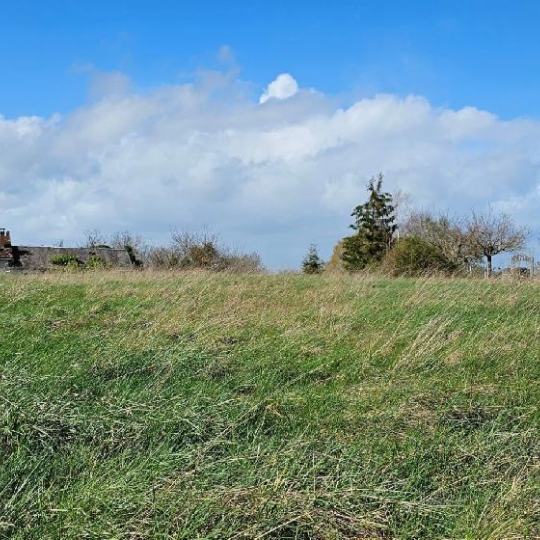 AGENCE IMMO COUR ET JARDIN : Terrain | LUBERSAC (19210) | 3529.00m2 | 27 300 € 