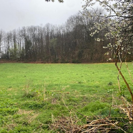  AGENCE IMMO COUR ET JARDIN : House | LA PORCHERIE (87380) | 65 m2 | 88 400 € 