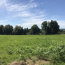  Annonces LUBERSAC : Terrain | SAINT-PARDOUX-CORBIER (19210) | 0 m2 | 20 000 € 