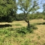  AGENCE IMMO COUR ET JARDIN : Autres | MEUZAC (87380) | 197 m2 | 39 720 € 