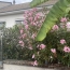  Annonces LUBERSAC : Maison / Villa | LIMOGES (87100) | 140 m2 | 233 700 € 