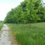  Annonces LUBERSAC : Terrain | MEUZAC (87380) | 1 230 m2 | 25 378 € 