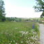  Annonces LUBERSAC : Terrain | MEUZAC (87380) | 1 230 m2 | 25 378 € 