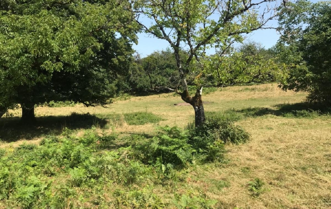 AGENCE IMMO COUR ET JARDIN : Autres | MEUZAC (87380) | 197 m2 | 39 720 € 