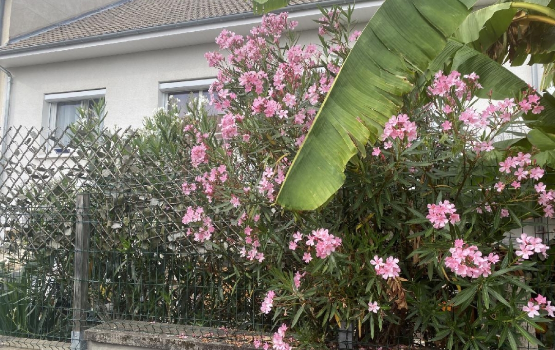 Annonces LUBERSAC : Maison / Villa | LIMOGES (87100) | 140 m2 | 233 700 € 