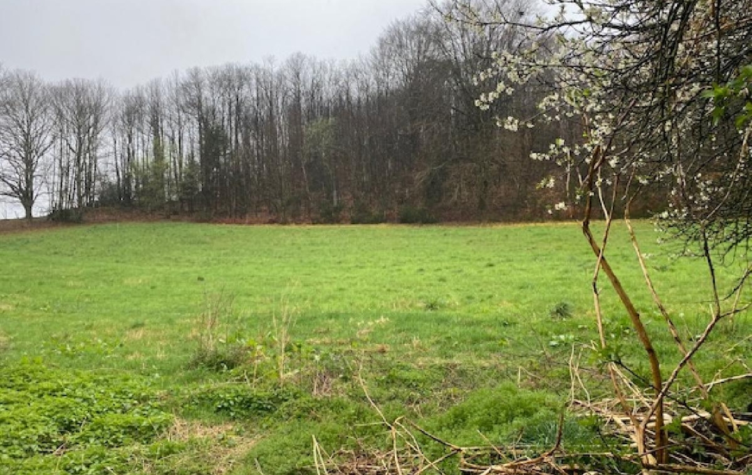 AGENCE IMMO COUR ET JARDIN : House | LA PORCHERIE (87380) | 65 m2 | 88 400 € 