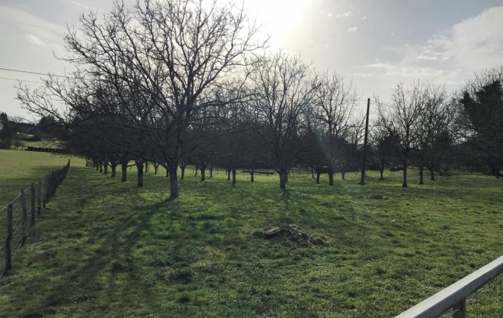 Annonces LUBERSAC : Terrain | LUBERSAC (19210) | 0 m2 | 31 000 € 