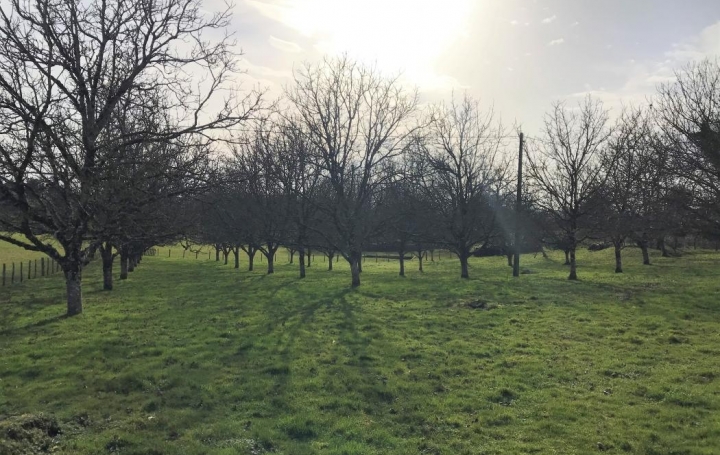 Annonces LUBERSAC : Terrain | LUBERSAC (19210) | 0 m2 | 31 000 € 