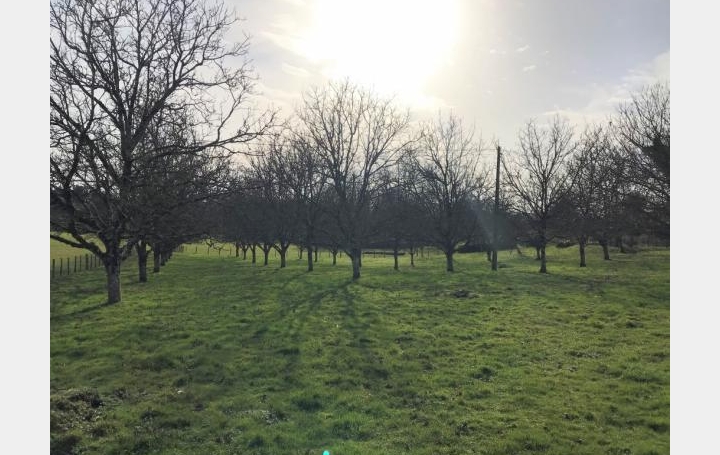 Annonces LUBERSAC : Terrain | LUBERSAC (19210) | 4 271 m2 | 31 000 € 