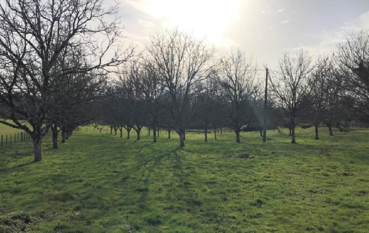  AGENCE IMMO COUR ET JARDIN Terrain | LUBERSAC (19210) | 4 271 m2 | 31 000 € 