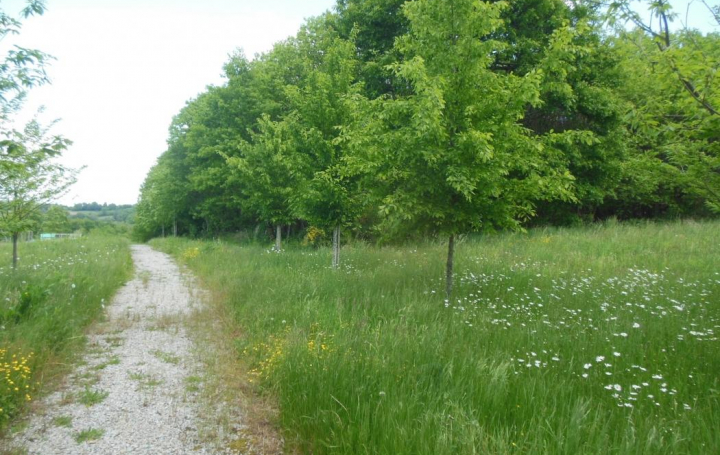 Annonces LUBERSAC : Terrain | MEUZAC (87380) | 1 230 m2 | 25 378 € 